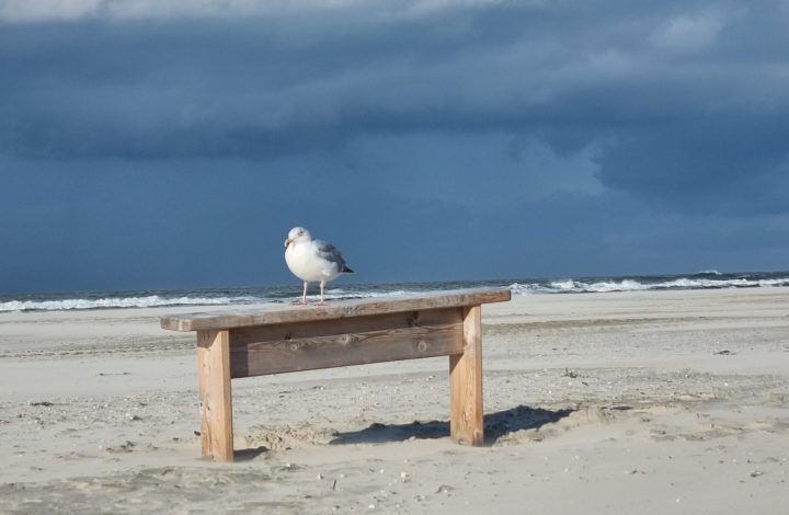 Ferienwohnung Strandgänger
