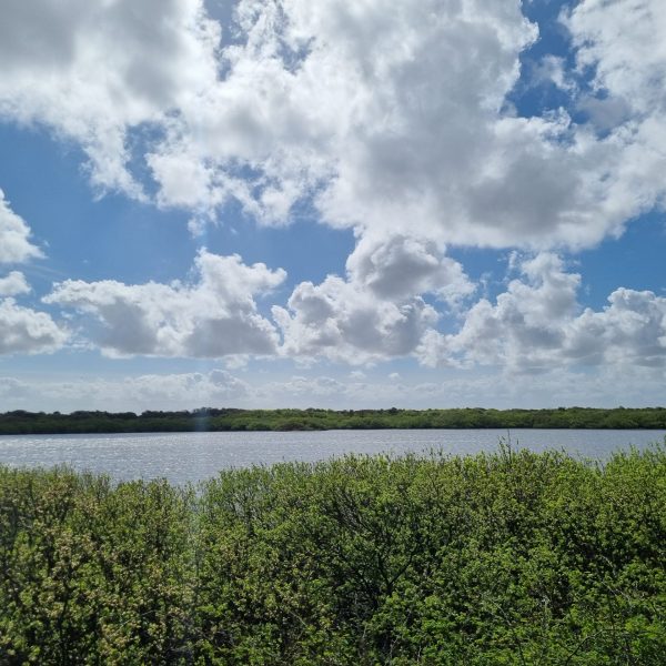 Hammersee Sonne